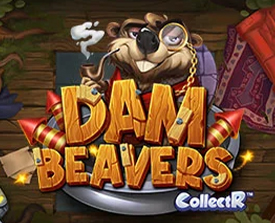 Dam Beavers