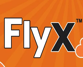 FlyX